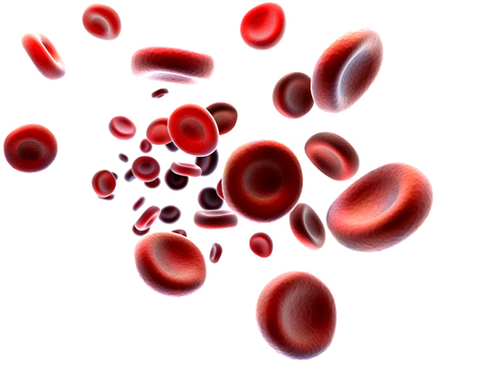 Diener Precision Pumps: Image of platelets